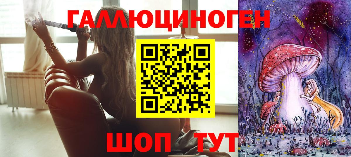 Галлюциногенные грибы Psilocybine cubensis Гусев